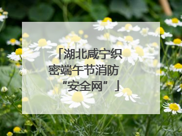 湖北咸宁织密端午节消防“安全网”