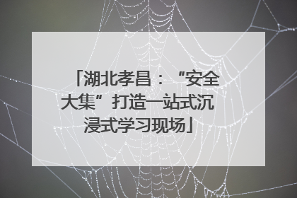 湖北孝昌：“安全大集”打造一站式沉浸式学习现场