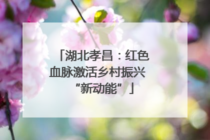 湖北孝昌：红色血脉激活乡村振兴“新动能”