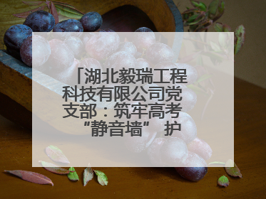 湖北毅瑞工程科技有限公司党支部：筑牢高考“静音墙” 护航学子逐梦路
