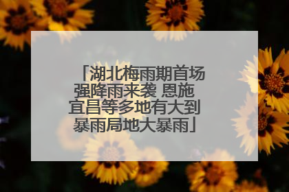 湖北梅雨期首场强降雨来袭 恩施宜昌等多地有大到暴雨局地大暴雨
