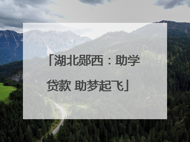 湖北郧西：助学贷款 助梦起飞