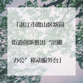 湛江市霞山区新园街道创新推出“出摊办公”移动服务台