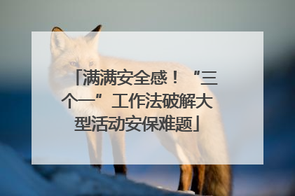 满满安全感！“三个一”工作法破解大型活动安保难题