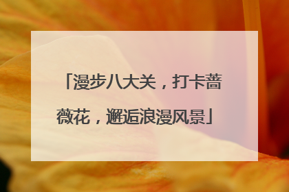 漫步八大关，打卡蔷薇花，邂逅浪漫风景