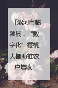 漯河市临颍县：“数字化”樱桃大棚助推农户增收