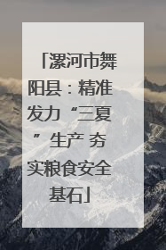 漯河市舞阳县：精准发力“三夏”生产 夯实粮食安全基石