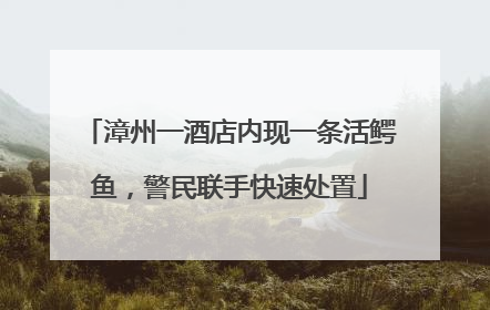 漳州一酒店内现一条活鳄鱼，警民联手快速处置