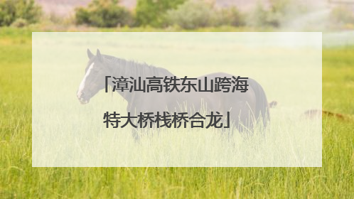 漳汕高铁东山跨海特大桥栈桥合龙