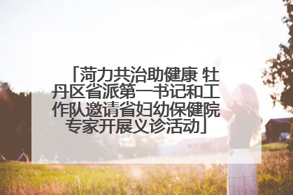 菏力共治助健康 牡丹区省派第一书记和工作队邀请省妇幼保健院专家开展义诊活动