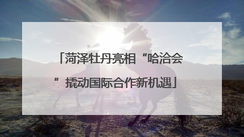 菏泽牡丹亮相“哈洽会”撬动国际合作新机遇