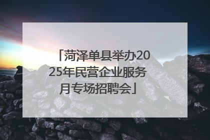 菏泽单县举办2025年民营企业服务月专场招聘会