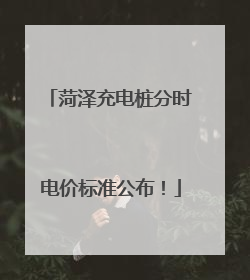 菏泽充电桩分时电价标准公布！