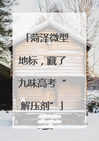 菏泽微型地标，藏了九味高考“解压剂”