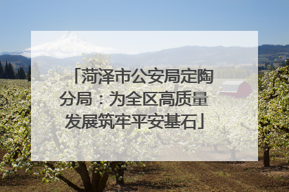 菏泽市公安局定陶分局：为全区高质量发展筑牢平安基石