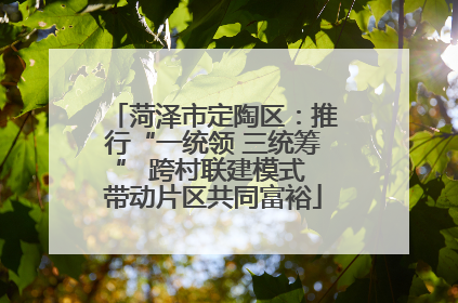 菏泽市定陶区：推行“一统领 三统筹” 跨村联建模式 带动片区共同富裕