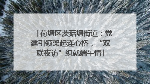荷塘区茨菇塘街道：党建引领架起连心桥，“双联夜访”织就端午情