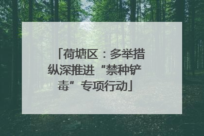 荷塘区：多举措纵深推进“禁种铲毒”专项行动