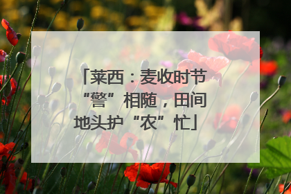 莱西：麦收时节“警”相随，田间地头护“农”忙