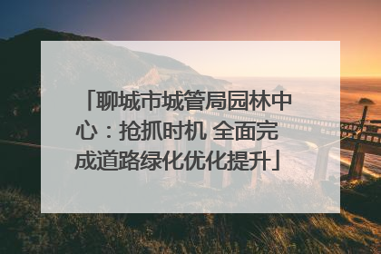 聊城市城管局园林中心：抢抓时机 全面完成道路绿化优化提升
