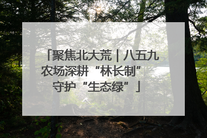 聚焦北大荒｜八五九农场深耕“林长制” 守护“生态绿”