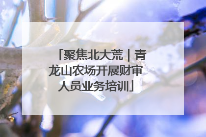 聚焦北大荒｜青龙山农场开展财审人员业务培训
