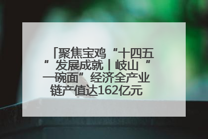 聚焦宝鸡“十四五”发展成就丨岐山“一碗面”经济全产业链产值达162亿元 入选全国典型县