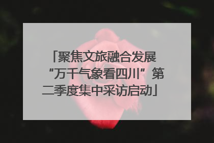 聚焦文旅融合发展 “万千气象看四川”第二季度集中采访启动