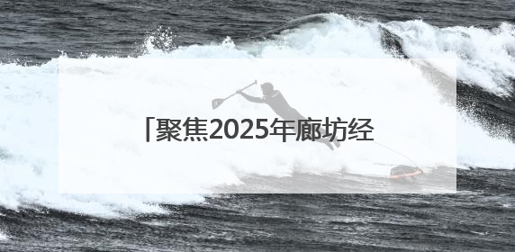聚焦2025年廊坊经洽会丨京津冀首个AI招商选址大模型亮相