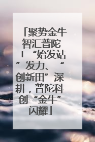 聚势金牛 智汇普陀〡“始发站”发力、“创新田”深耕，普陀科创“金牛”闪耀