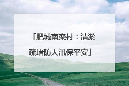 肥城南栾村：清淤疏堵防大汛保平安
