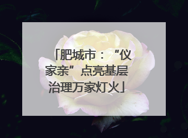 肥城市：“仪家亲”点亮基层治理万家灯火