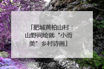 肥城黄柏山村：山野间绘就“小而美”乡村诗画