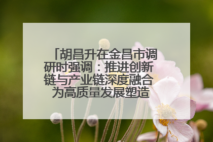 胡昌升在金昌市调研时强调：推进创新链与产业链深度融合 为高质量发展塑造新动能新优势