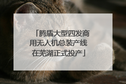 腾盾大型四发商用无人机总装产线在芜湖正式投产