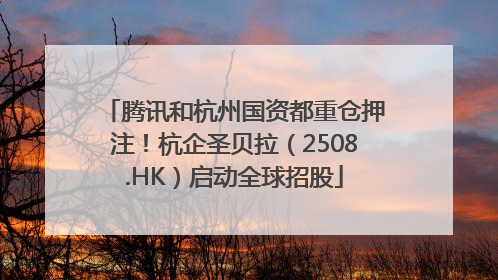 腾讯和杭州国资都重仓押注！杭企圣贝拉（2508.HK）启动全球招股