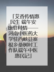 艾香传情惠民生 端午安康驻村情——河南中医药大学驻西峡县寨根乡桑树村工作队端午中医惠民记
