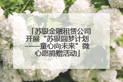 苏银金融租赁公司开展“苏银圆梦计划——童心向未来”微心愿捐赠活动