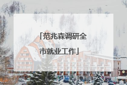 范兆森调研全市就业工作