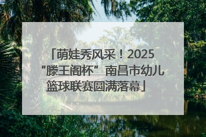 萌娃秀风采！2025“滕王阁杯”南昌市幼儿篮球联赛圆满落幕