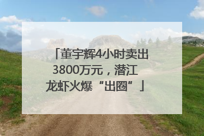 董宇辉4小时卖出3800万元，潜江龙虾火爆“出圈”