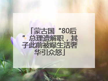 蒙古国“80后”总理遭解职，其子此前被曝生活奢华引众怒