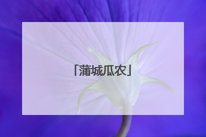 蒲城瓜农
