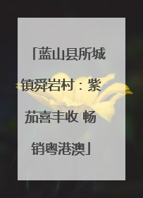 蓝山县所城镇舜岩村：紫茄喜丰收 畅销粤港澳