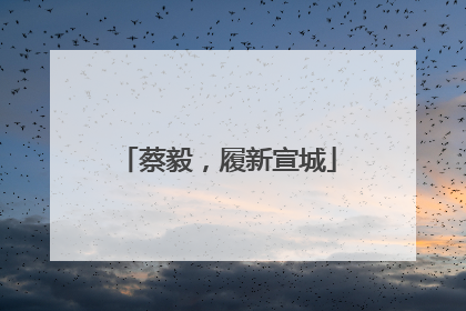 蔡毅，履新宣城