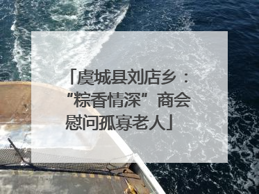 虞城县刘店乡：“粽香情深”商会慰问孤寡老人
