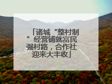 诸城“整村制”经营铺就富民强村路，合作社迎来大丰收