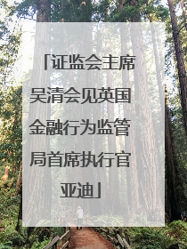 证监会主席吴清会见英国金融行为监管局首席执行官亚迪