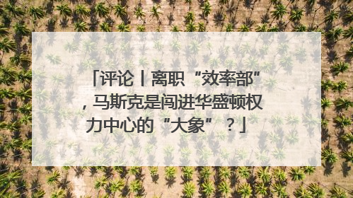 评论丨离职“效率部”，马斯克是闯进华盛顿权力中心的“大象”？