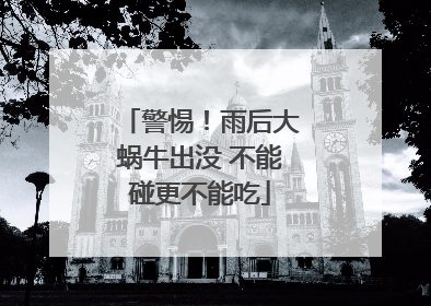警惕！雨后大蜗牛出没 不能碰更不能吃